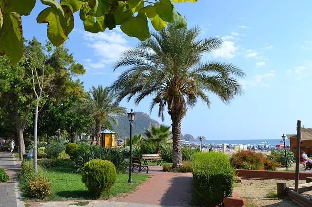 Strandpromenade am Atatürk Park Palmen an der Strandpromenade am Atatürk Park