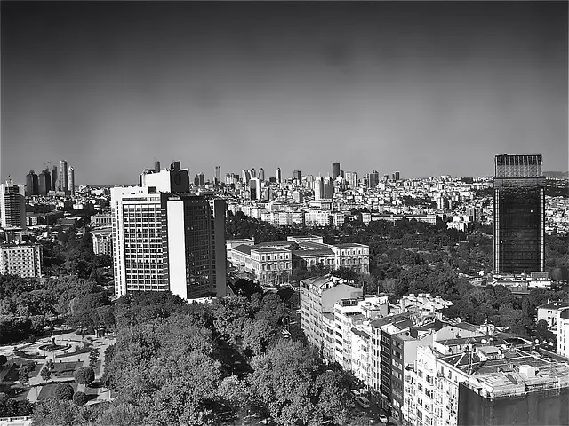 Schwarz Weiß Aufnahme, Skyline Istanbul