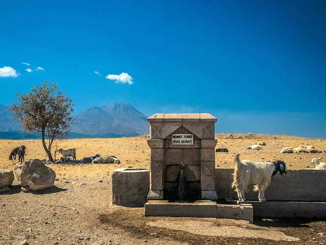Ziegen sind neben einer Straße zu sehen. Neben ihnen steht ein Brunnen vor einer kärglich bewachsenen Vegetation. Im Hintergrund ist ein hoher Berg zu sehen. 