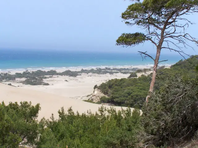 Blick auf das den Sand am Patara Strand und das Meer im Hintergrund