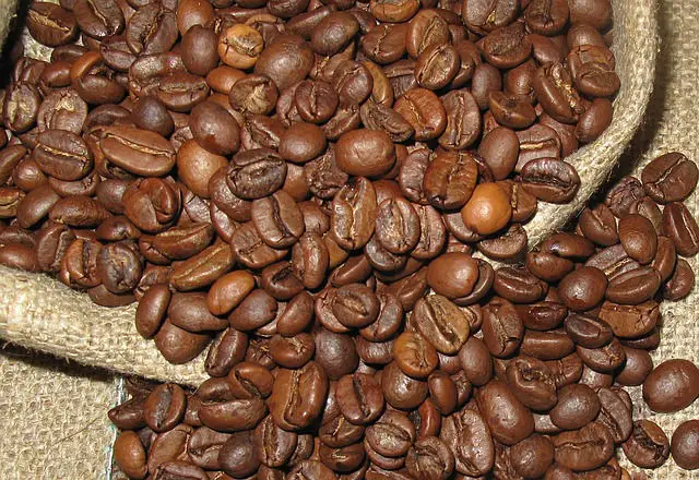 Sack mit gerösteten Arabica Kaffeebohnen Ein Jutesack mit gerösteten Arabice Kaffeebohnen