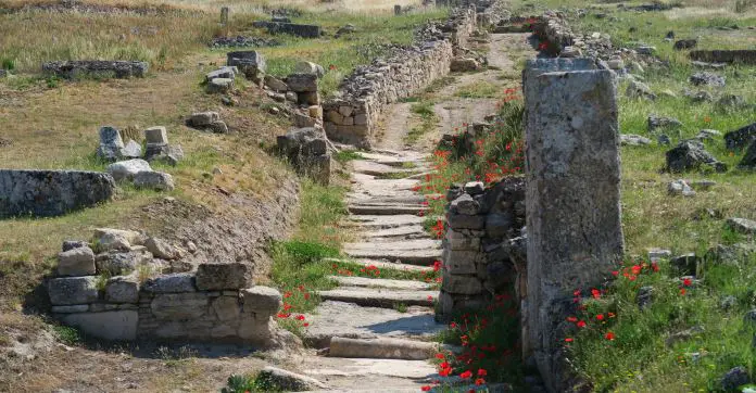 Mit Steinen gepflasterter und mit einer einen Meter hohen Mauer umfasster Weg durch die Ruinen von Hierapolis. Am Weg wachsen ein paar Rote Blumen. 