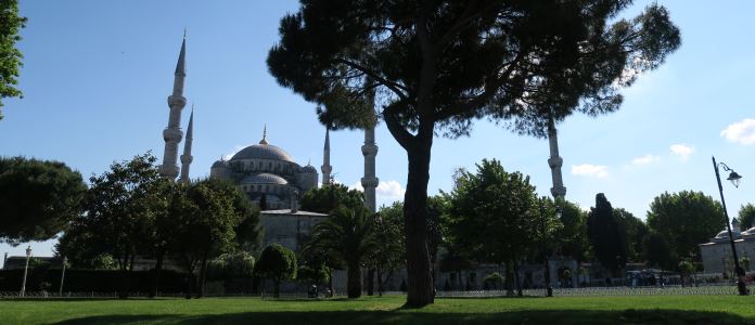 Schatten unter einem Baum des Park der Blauen Moschee. Mit Blick auf die Minerette der Moschee.