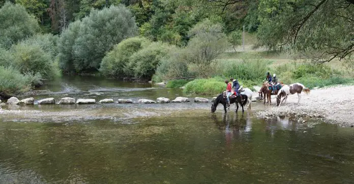 Vier Reiter sitzen auf ihren Pferden. Sie überqueren gerade einen seichten Fluss. 