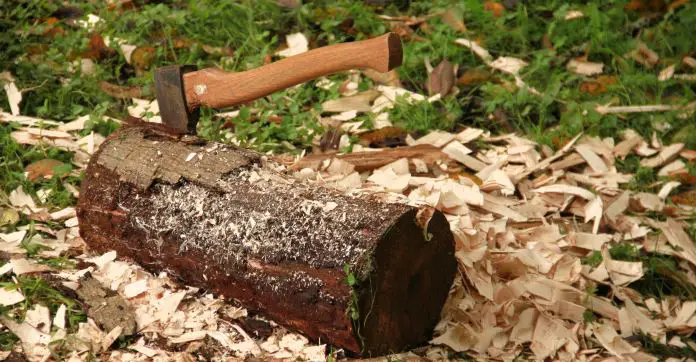 Eine Axt steckt in einem Baumstamm. Daneben liegen herausgehackte Holzstücke. 