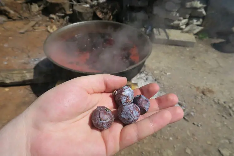 Auf einer Hand liegen Andiz Früchte, dahinter wird in einer großen Metallpfanne Andiz Sirup gekocht. 