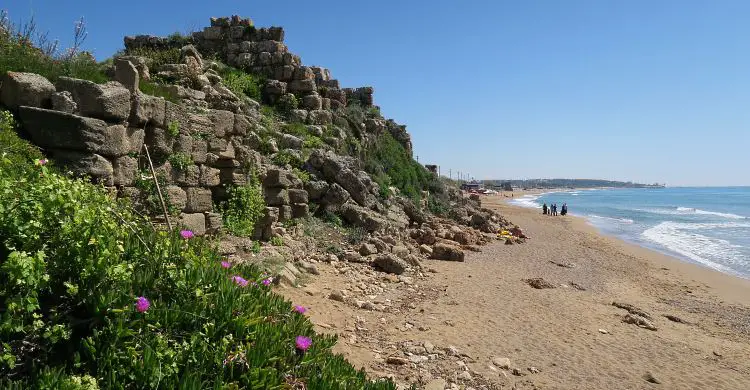 Der Blick von einem grün blühenden Hang mit violetten Blumen auf die alten Seemauern von Side und den darunterliegenden Sandstrand.