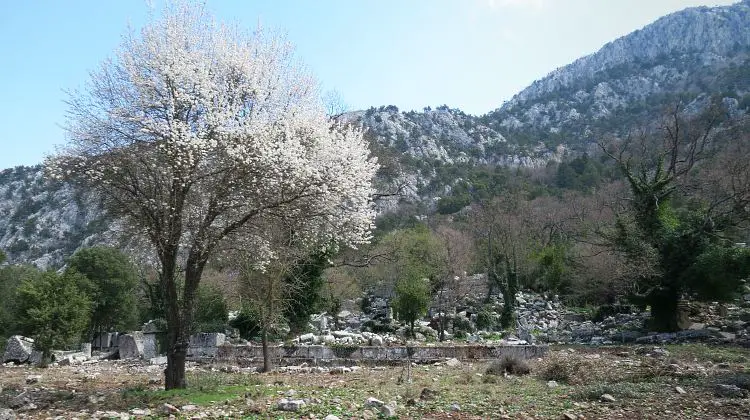 Die zusammengefallenen Reste von zwei Monumentalgräbern in den Ruinen von Termessos. 