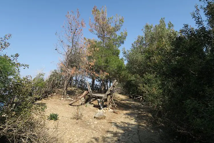 Ein Sandweg führt zum Ende der Halbinsel des Yörük Park. Er ist links und rechts mit Sträuchern und Bäumen bewachsen. 