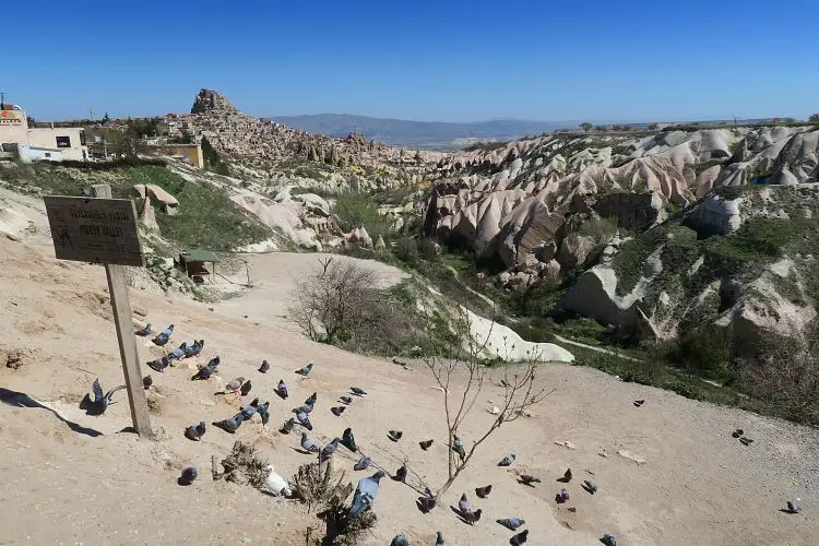 Dutzende Tauben sitzen am Rand des Pigeon Valley in Kappadokien. Im Hintergrund ist die Festung in Uchisar zu sehen.