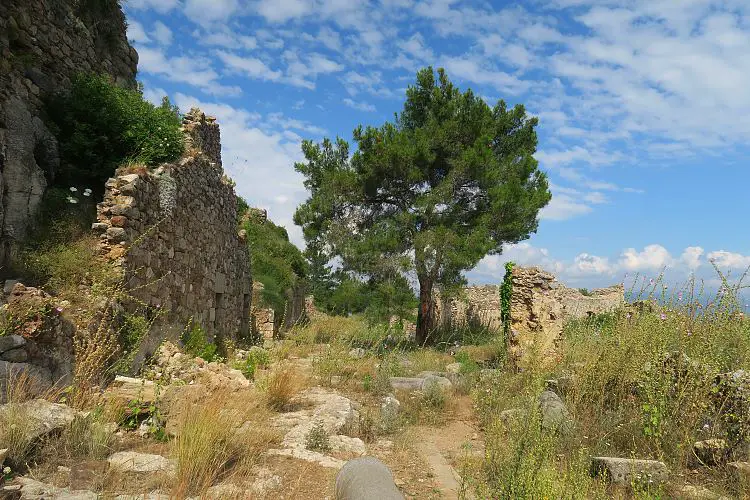 Ein Baum wächst auf den Ruinen der Kolonnade von Syedra in der Türkei. 