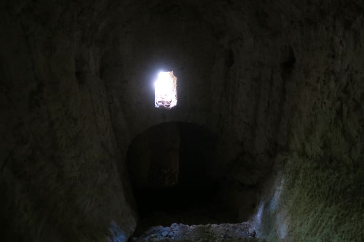 Es hängen Fledermäuse in einem dunklen Tunnel.