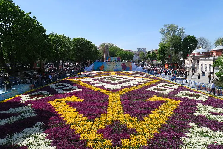 Ein Teppich aus Tulpen während dem Tulpen Festival in Istanbul. 