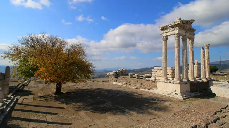 Baum mit goldgelben Blättern im Herbst und die weißen Säulen des Tempels