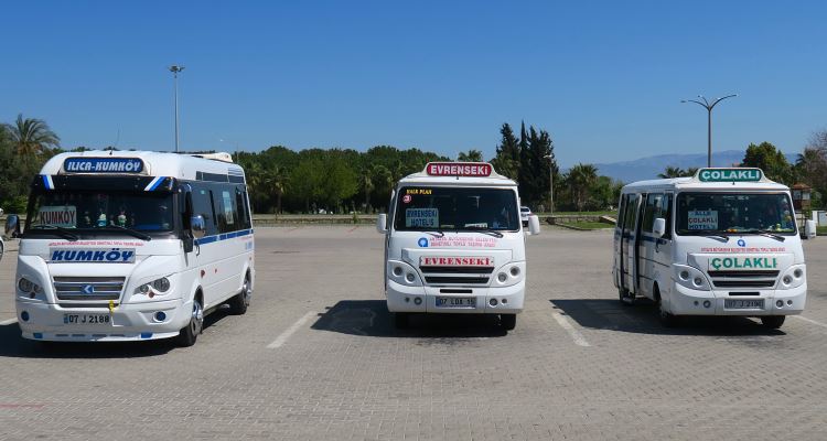 Dolmus Busse mit den angeschriebenen Haltestellen: Kumköy, Colakli und Evrenseki