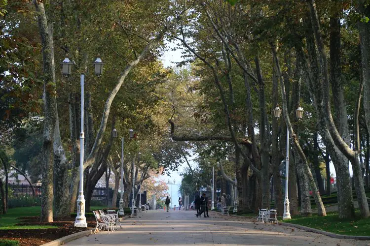 Allee im Gülhane Park im Herbst