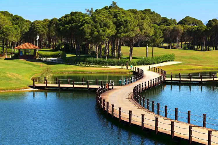 Golfplatz mit Grün, Teich und Pinienbäumen