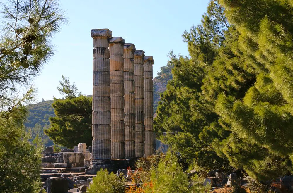 Säulen des Athena Tempel und Bäume