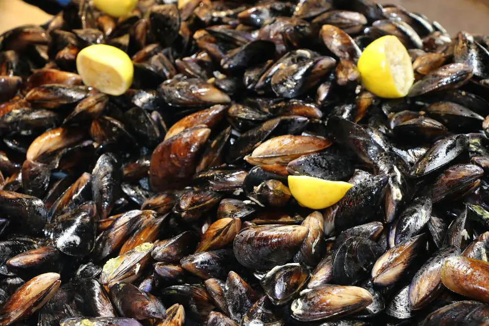 Muscheln bei Midyeci Ahmet in Istanbul