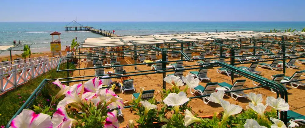 Strand mit Liegestühlen und dem Meer