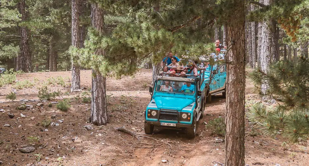 Zwei blaue Jeeps fahren Offroad durch einen Wald in den Bergen