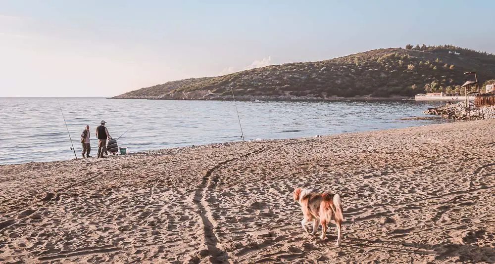 Strand mit einem Hund und Fischern mit einem grünen Hügel im Hintergrund