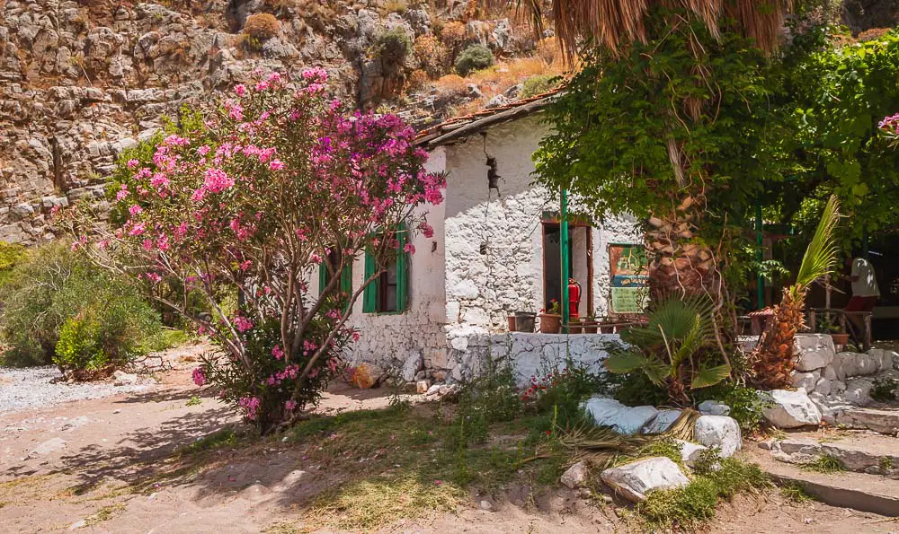 Haus im Butterfly Valley mit Bäumen und Sträuchern