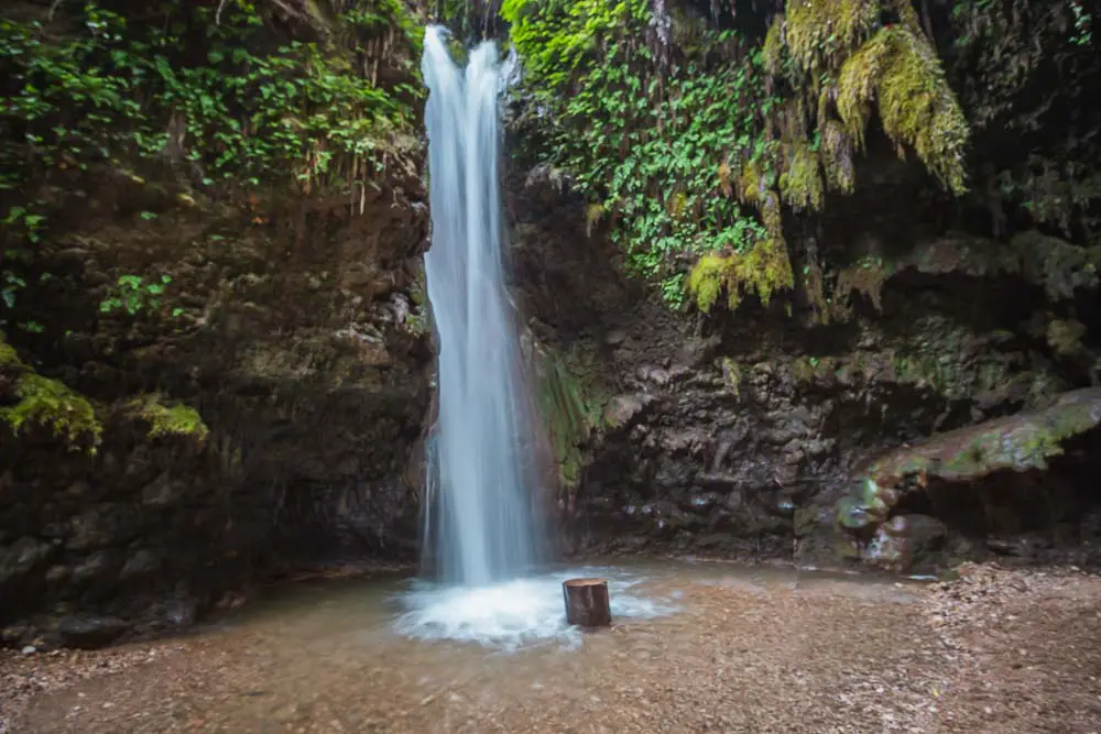 10m hoher Wasserfall am Ende einer Schlucht mit grünen Bäumen und Sträuchern