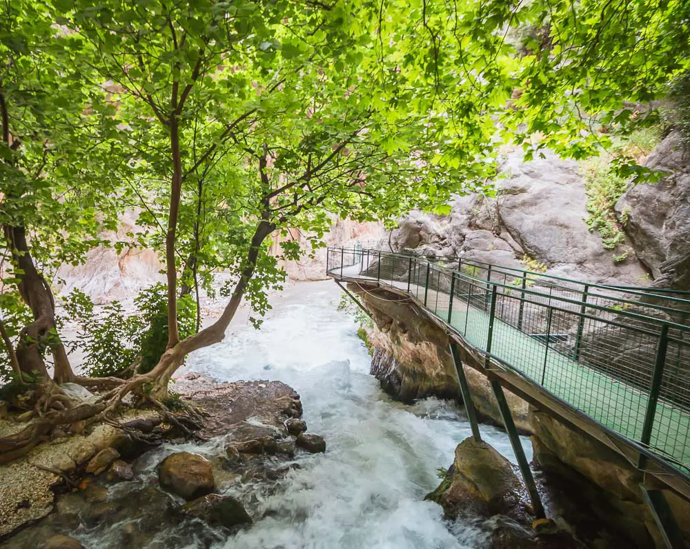 Weg in den Canyon mit dem Fluss und Bäumen