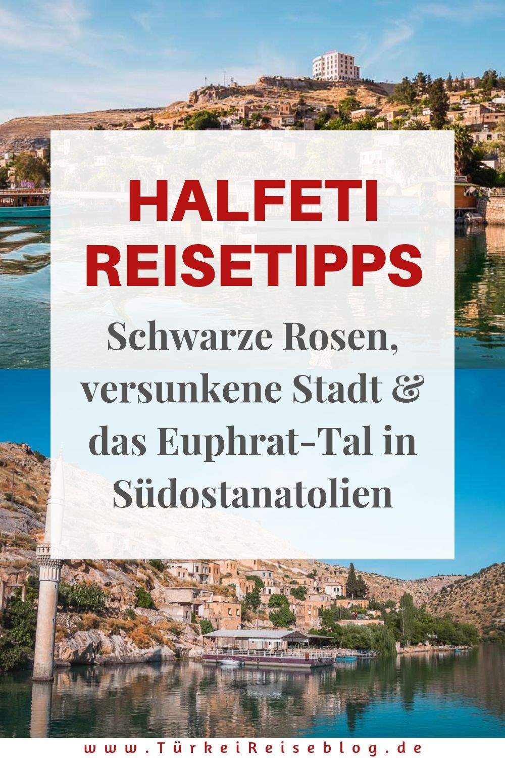 Halfeti Reisetipps: Schwarze Rosen, versunkene Stadt & Euphrat-Tal in Südostanatolien in der Türkei