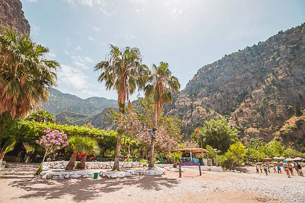 Palmen am Strand des Butterfly Valley in Ölüdeniz in der Türkei